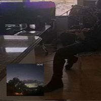 reese - Happy n Healthy