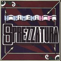 Hirameka Hi-Fi - Sprezzatura