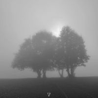 Kayemzat XI - Sonyainwondaland 2