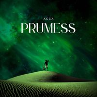 ACCA - PRUMESS (Explicit)