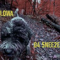 LOWA - D4 5NEE2E