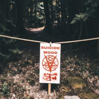 VERGIL - Suicide WOOD/METSUKE SUTEMI (Explicit)