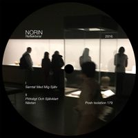 Norin - Reflekterar