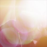 Amour - Ephemeral (Explicit)
