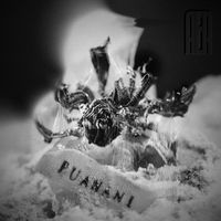 AER - Puanani (Explicit)