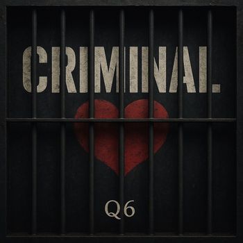 Q6 - Criminal