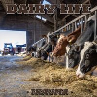 TRAUMA - Dairy Life