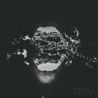 SENU - METANOIA