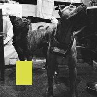 TYSK - Відверто (Explicit)