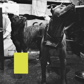 TYSK - Відверто (Explicit)