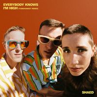 SHAED - Everybody Knows I’m High (TOBEHONEST Remix)