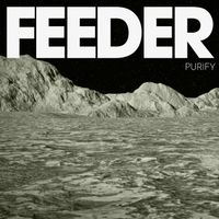 Feeder - Purify