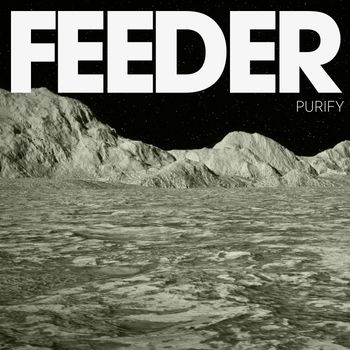 Feeder - Purify