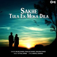 Vitthal Shinde - Sakhe Tula Ek Moka Dila