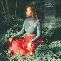 Michel - La luz de mi acústico