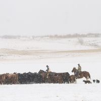 Bart Vogel - Christmas for Cowboys