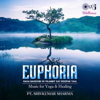 Pandit Shivkumar Sharma - Euphoria