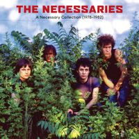 The Necessaries - Law And Order