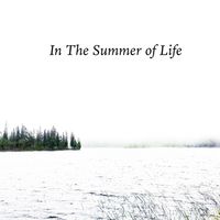 Robert Anton Strobel - In The Summer Of Life