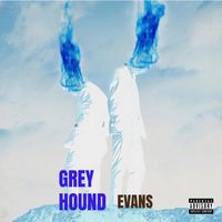 Evans - Greyhound