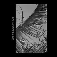 Coin - Inside Palace