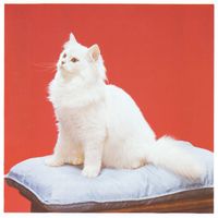 Madcat - Petite musique de chanvre