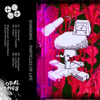Shadows - Particles Of Life