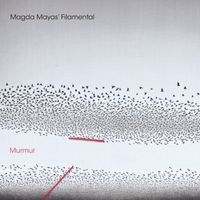 Magda Mayas' Filamental - Murmur