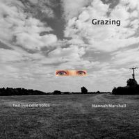 Hannah Marshall - Grazing