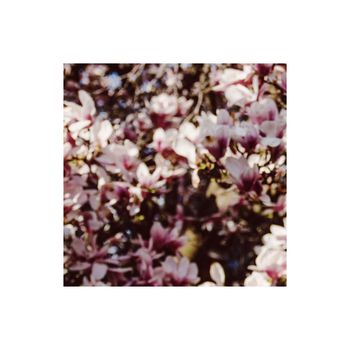 Cameron James - Sensitive