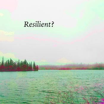 Robert Anton Strobel - Resilient?
