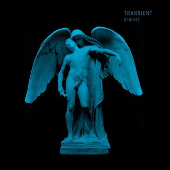 Transient - Confess