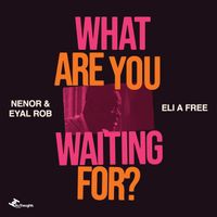 Nenor, Eyal Rob, ELi A Free - What Are You Waiting For?
