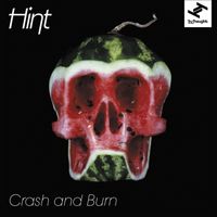 Hint / Natalie Storm - Crash and Burn