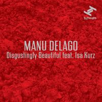 Manu Delago - Disgustingly Beautiful