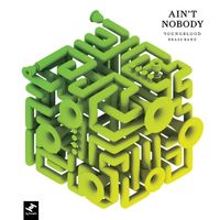 Youngblood Brass Band - Ain't Nobody