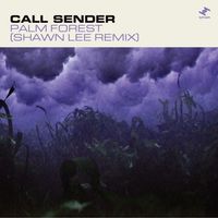 Call Sender - Palm Forest (Shawn Lee Remix)