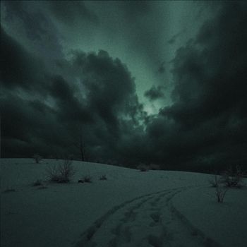 void - Winter Trip