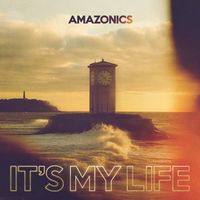 Amazonics - It's My Life