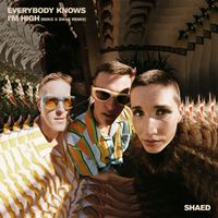 SHAED - Everybody Knows I’m High (NIIKO X SWAE Remix)