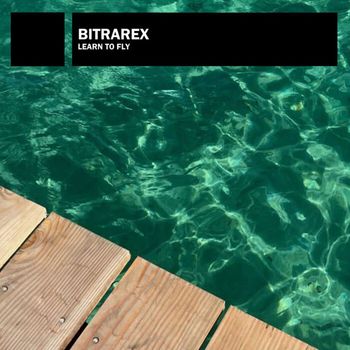 Bitrarex - Learn to Fly