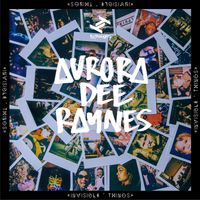 Aurora Dee Raynes - Invisible Things