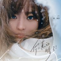 黄霄雲 - 你真的够了