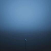 Stellar - Fallen Star