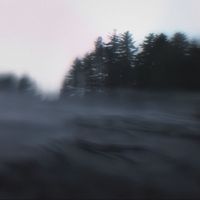 nw2b - she was never real