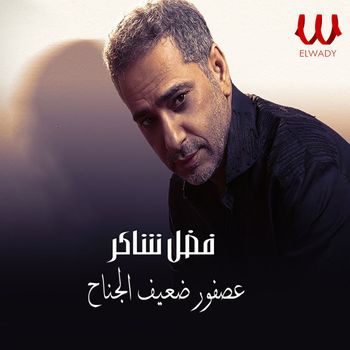 Fadl Shaker - عصفور ضعيف الجناح
