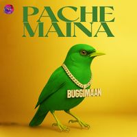 Buggimaan - Pache Maina