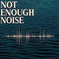 WINTER - NOT ENOUGH NOISE