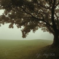 Elfva - Misty Fields