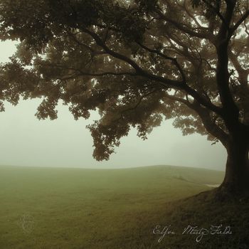 Elfva - Misty Fields